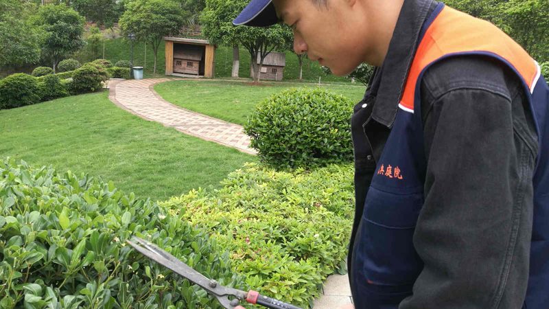 相比传统的花卉市场或中间商，厂家直销具有以下优势：