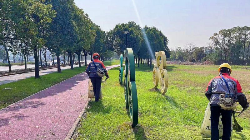 屋顶绿化补贴：屋顶材质分类与选择指南