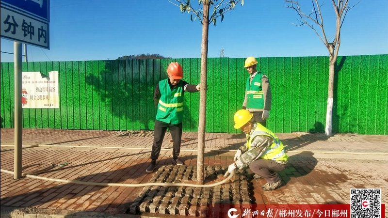 老旧小区绿化改造设计公司