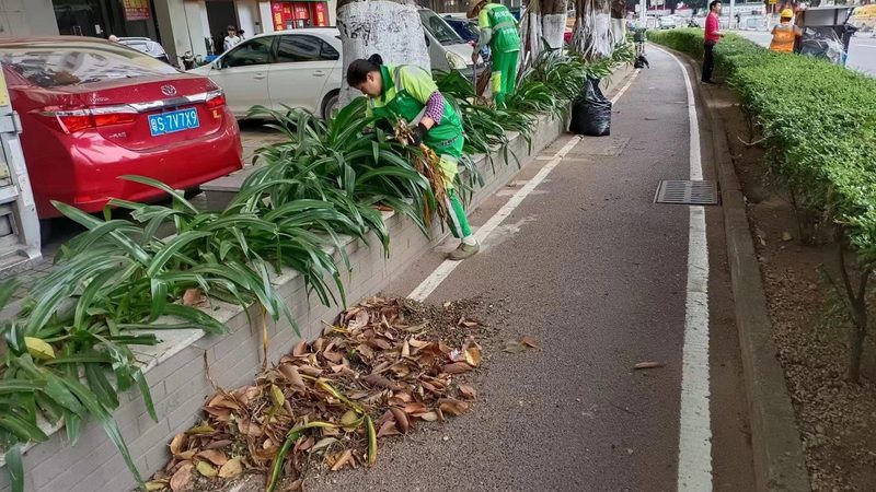 园林绿化公司注册条件：合规之路的五大要素**