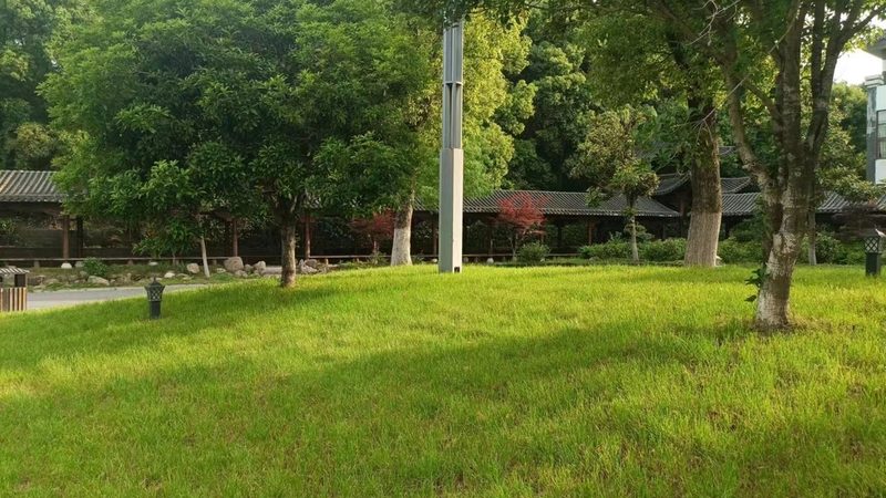 绿化资质乙级与甲级人员配置：关键差异解析