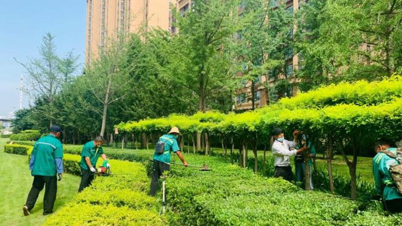别墅庭院景观设计风格分类解析**